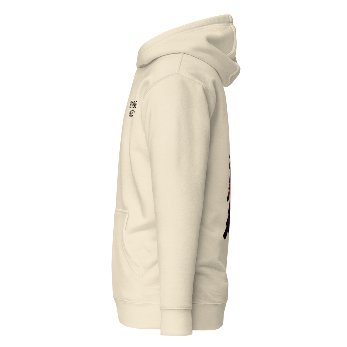 Moonlit Canyon Hoodie